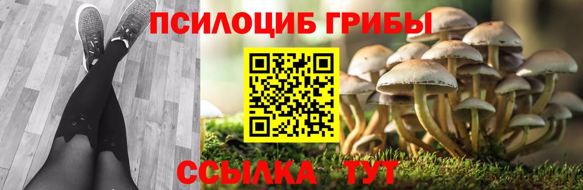 Галлюциногенные грибы мухоморы  Псилоцибиновые грибы мухоморы  Вход с VPN  Партизанск 